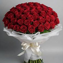 Букет 101 Красная роза Блэк Мэджик в Усть-Ишиме