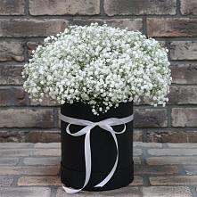 Цветочная композиция из Гипсофила в шляпной коробке в Усть-Ишиме