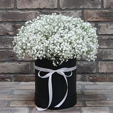 Цветочная композиция из Гипсофила в шляпной коробке в Усть-Ишиме