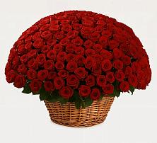 Премиум букет из: Розы в Усть-Ишиме